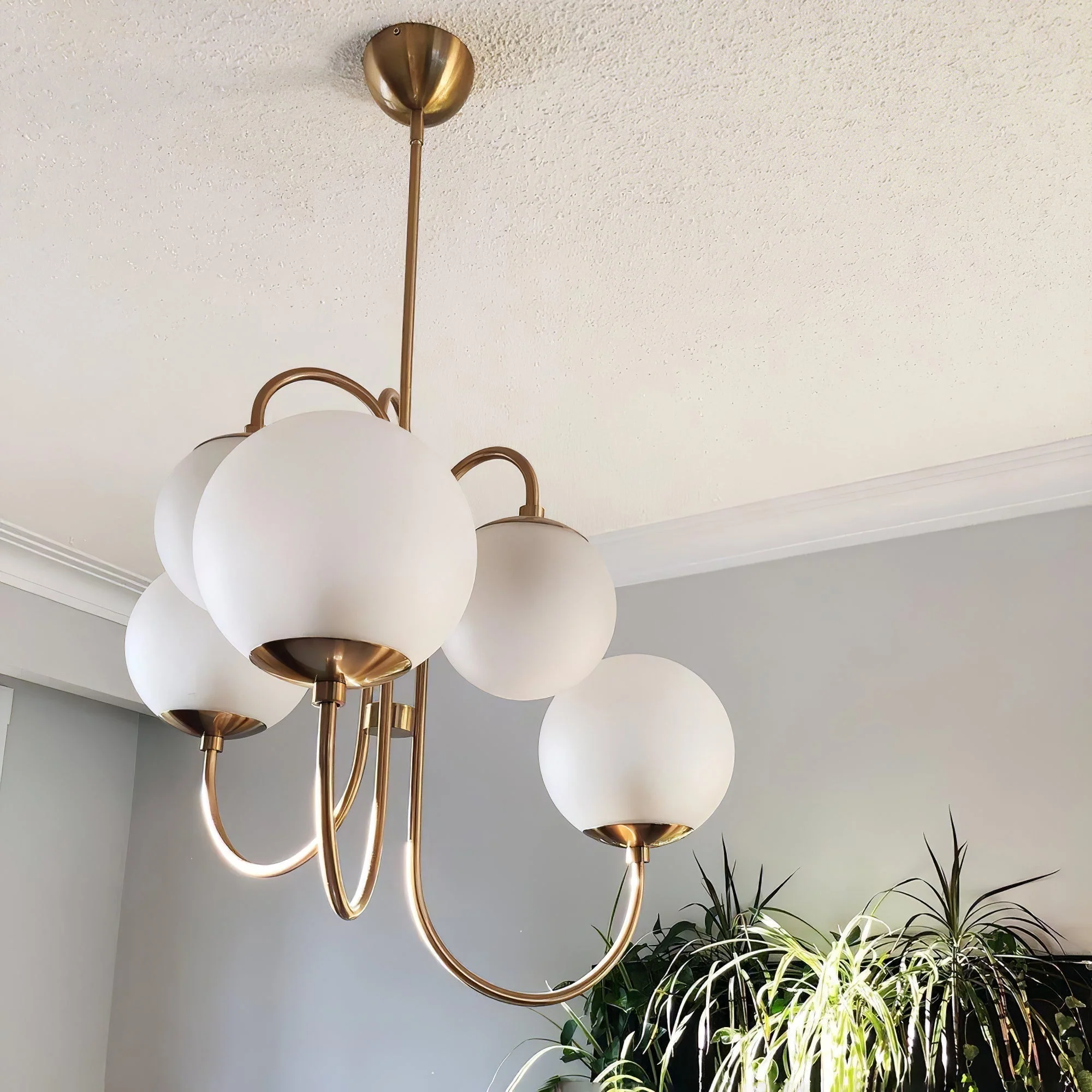 Product image 63