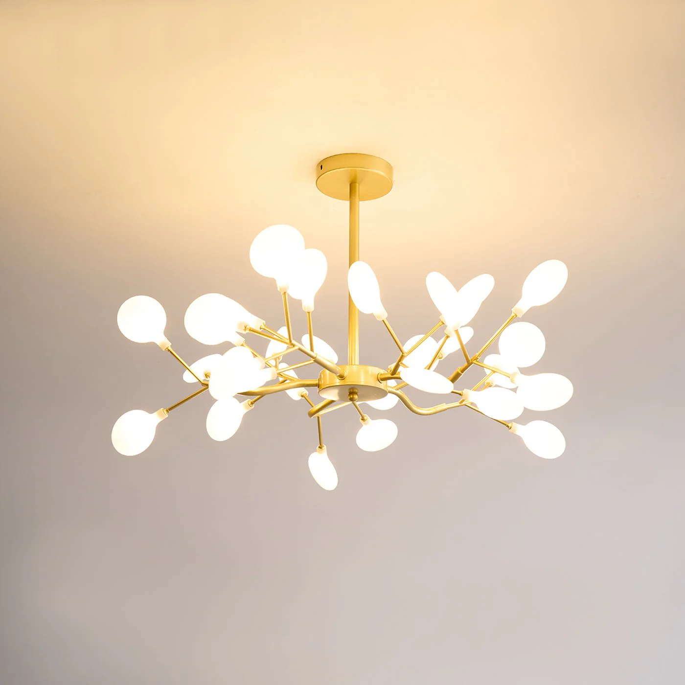 Product image 50