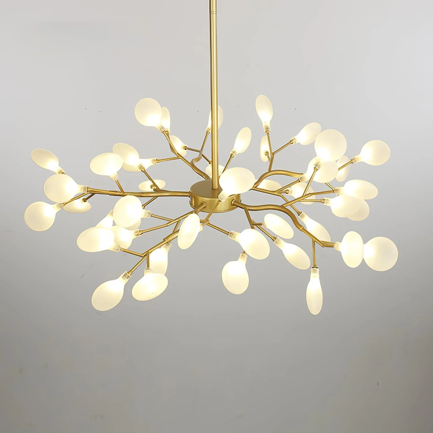 Product image 76