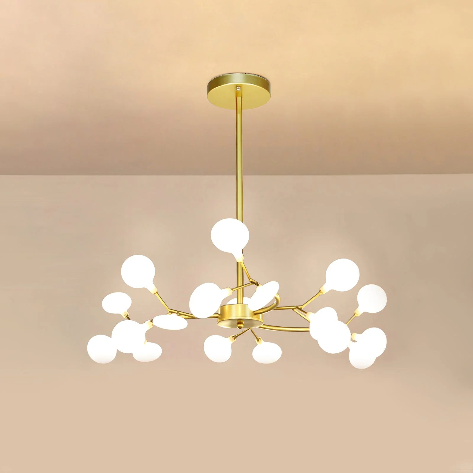 Product image 77