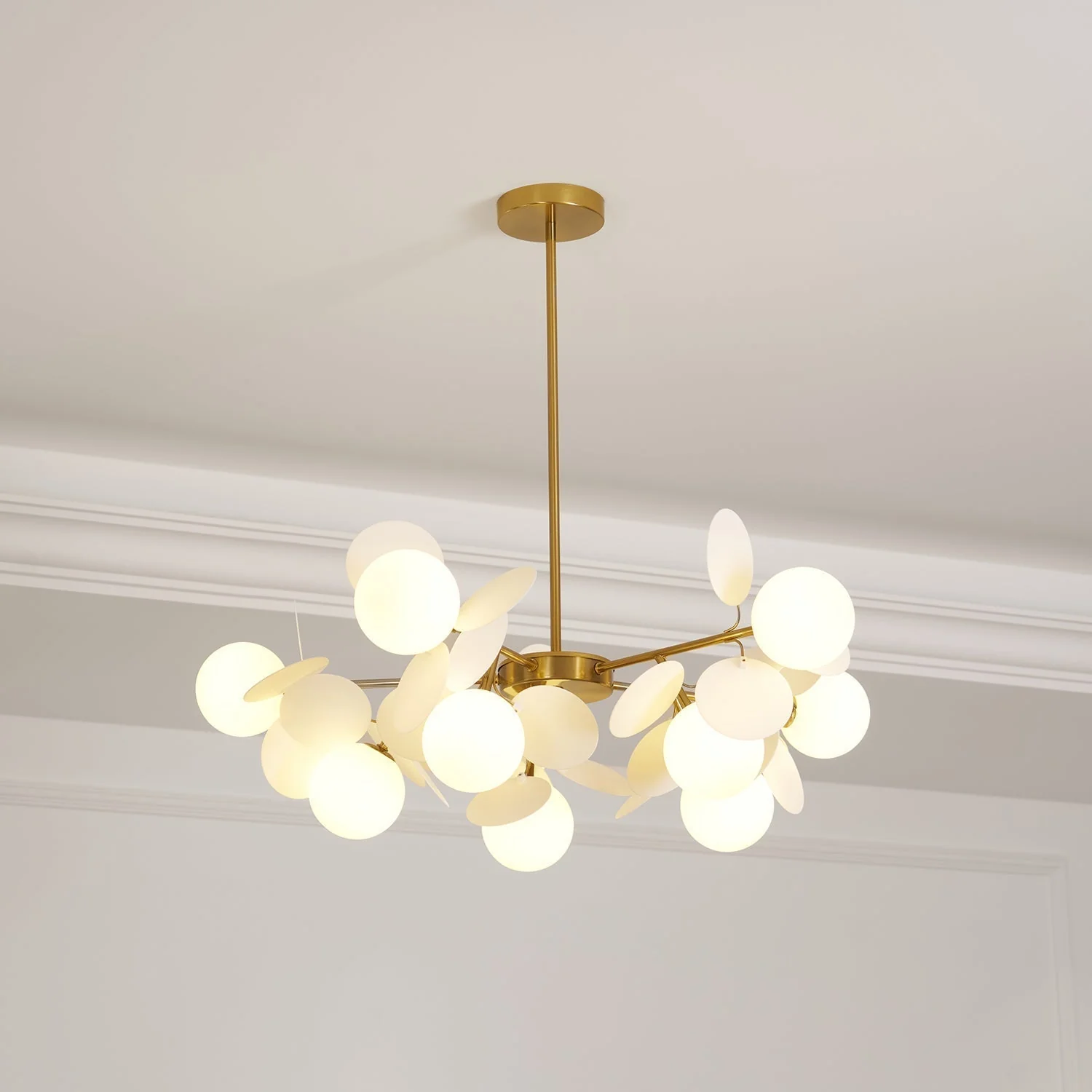 Product image 55