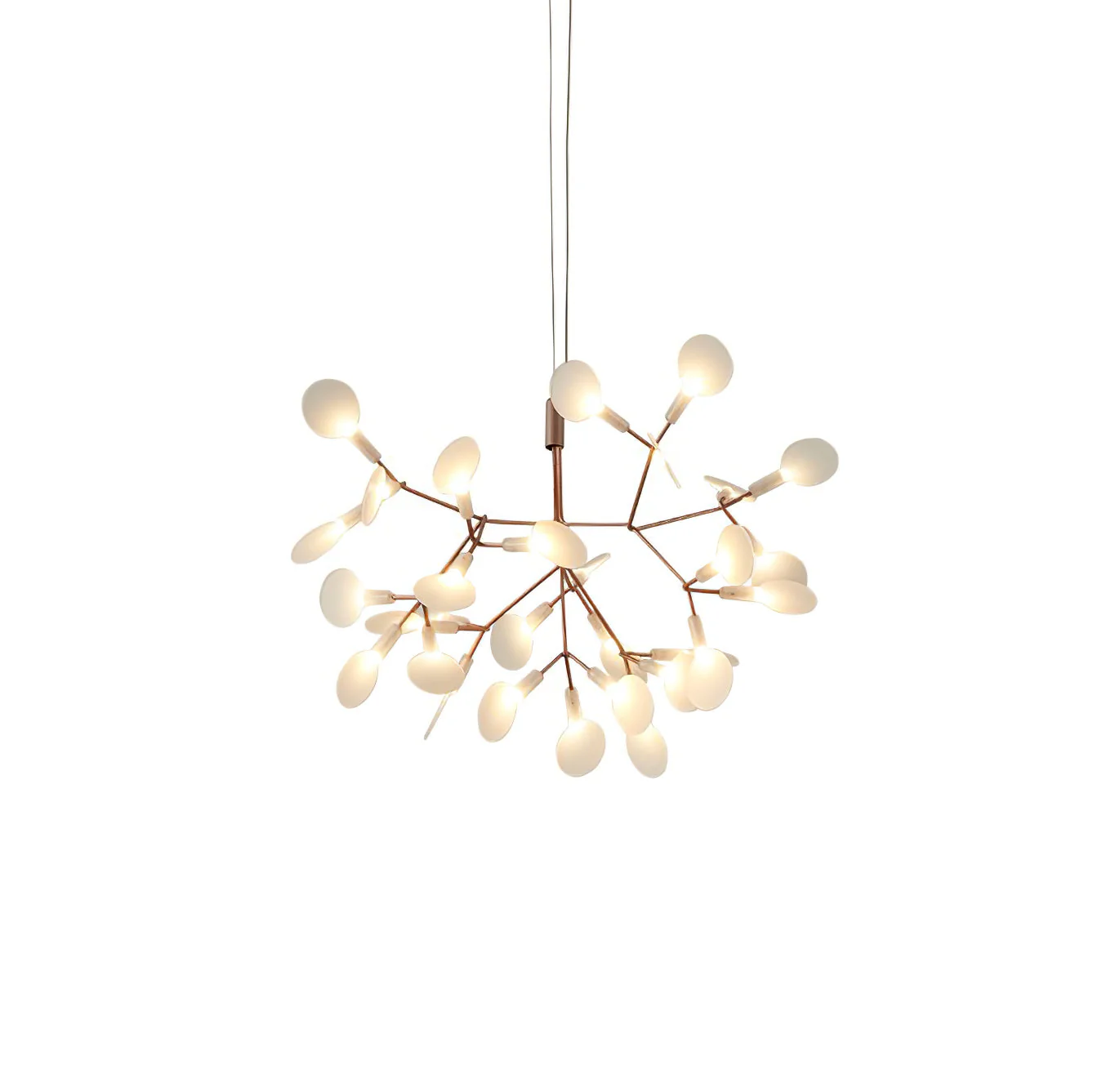 Product image 77
