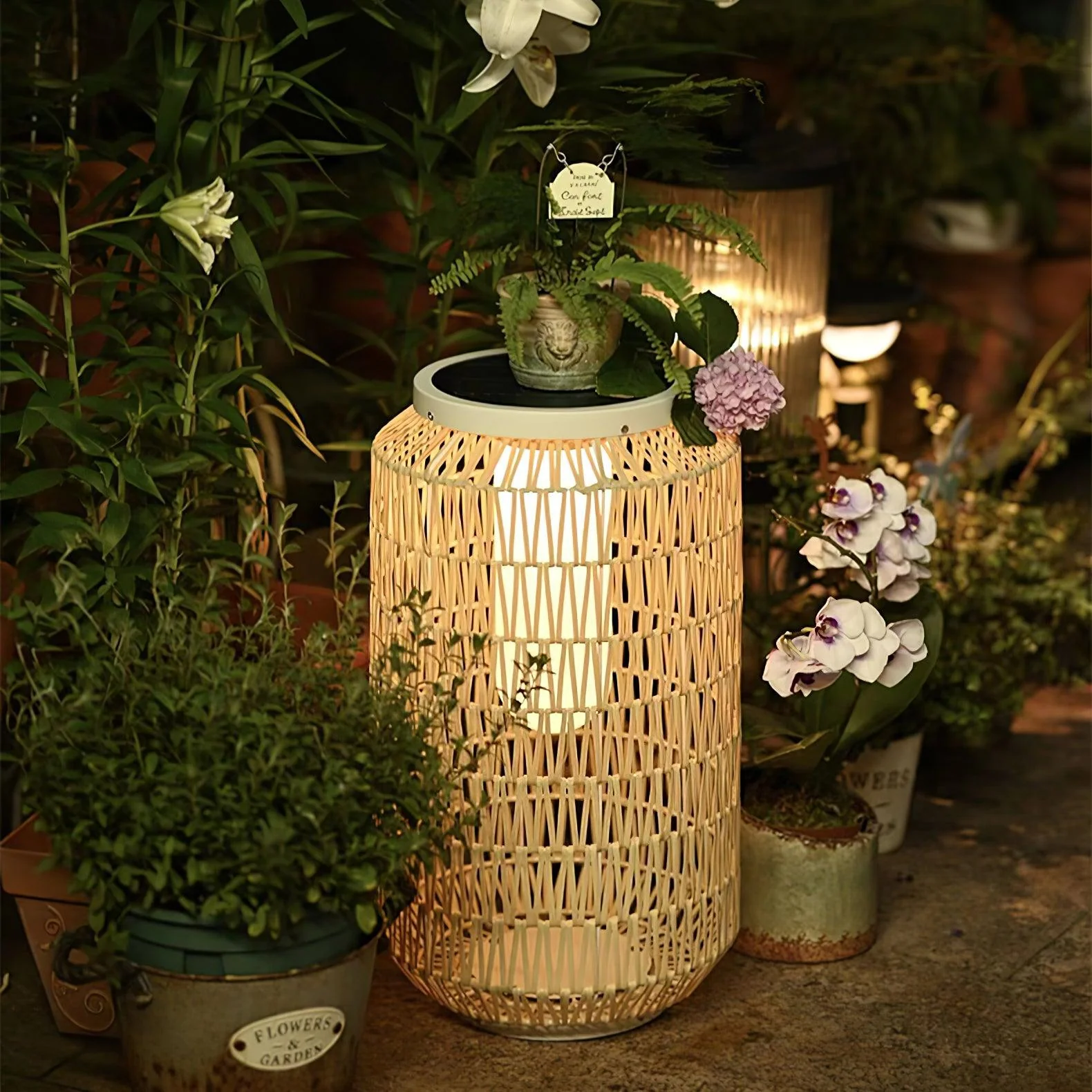 Product image 58