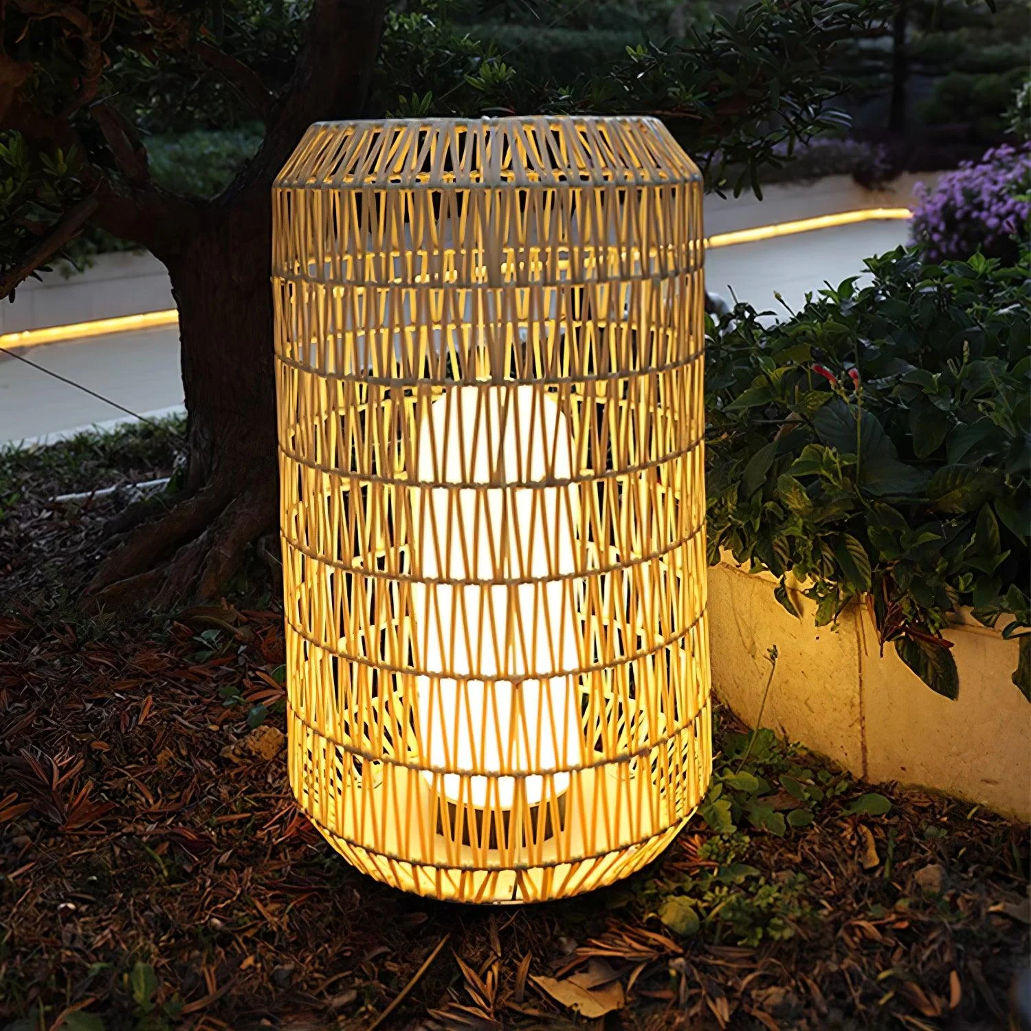 Product image 61
