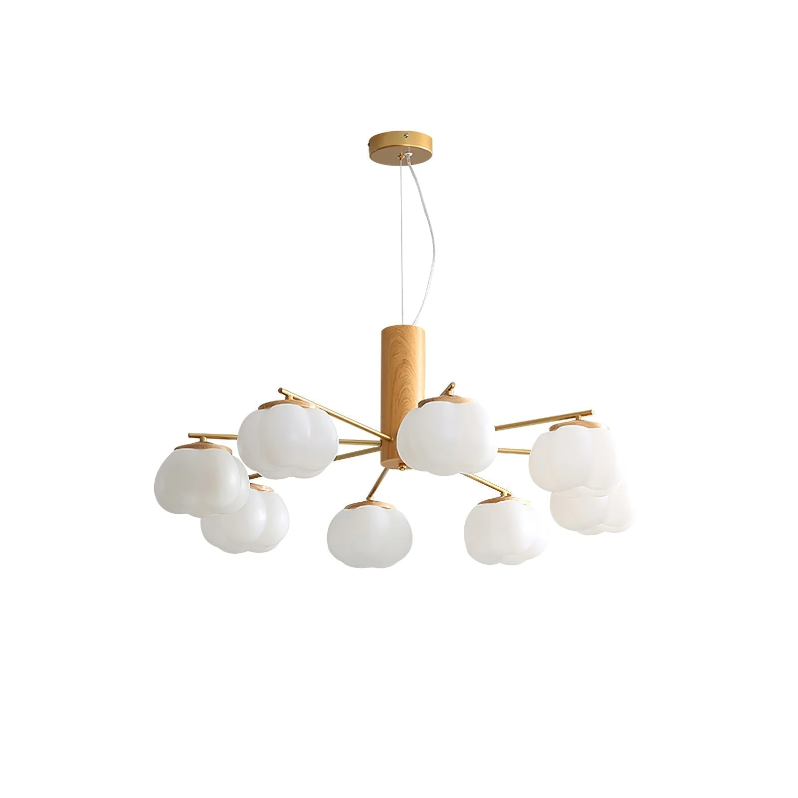 Product image 48