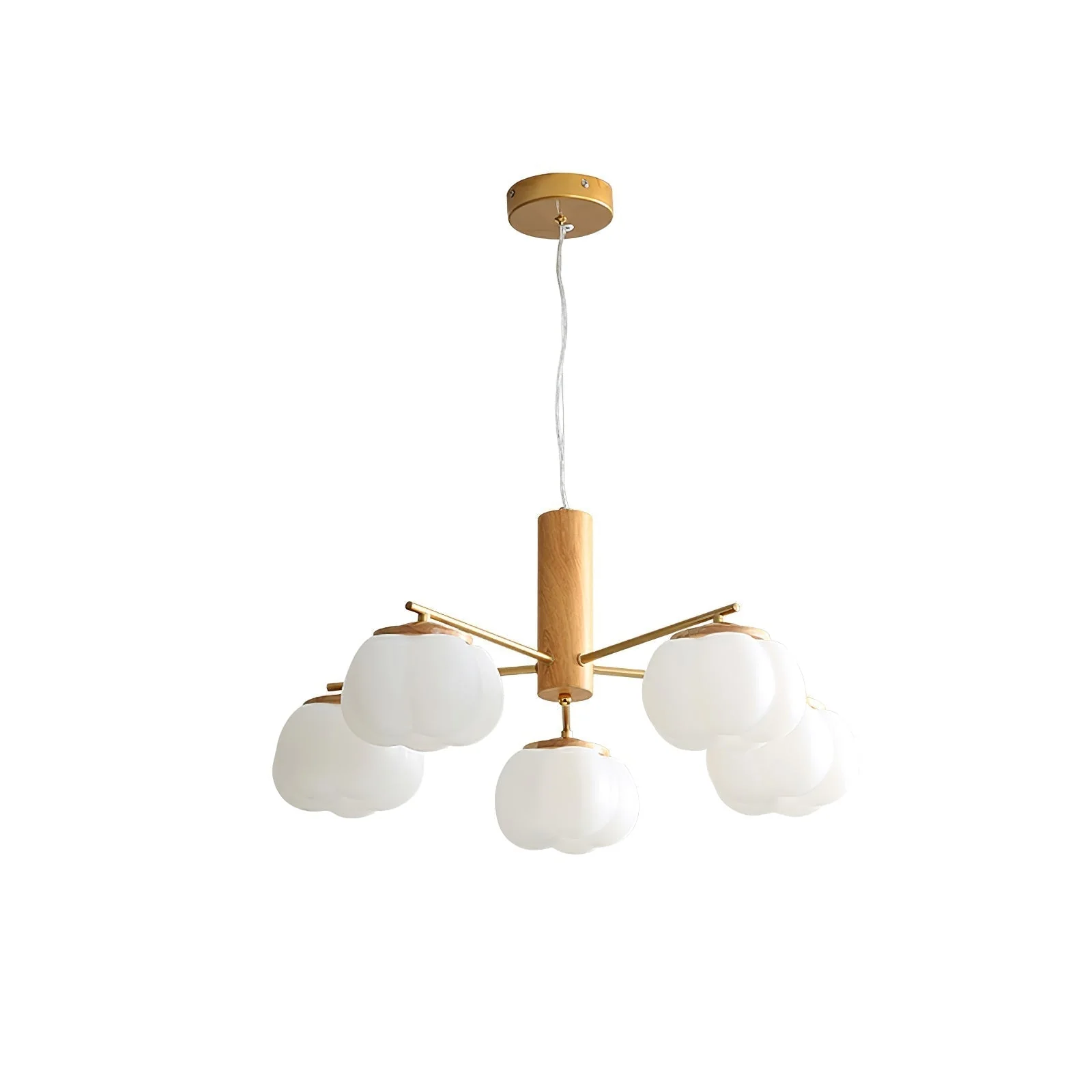 Product image 50